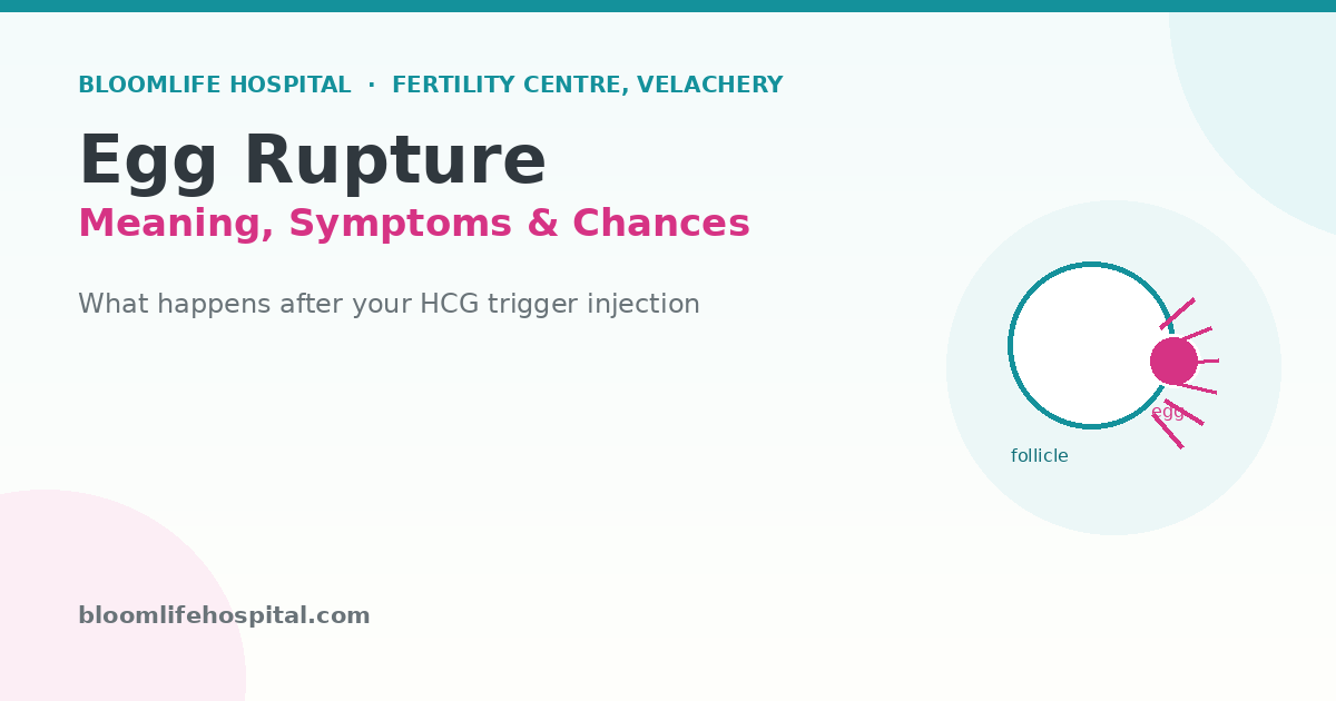 egg-rupture-meaning-symptoms-banner